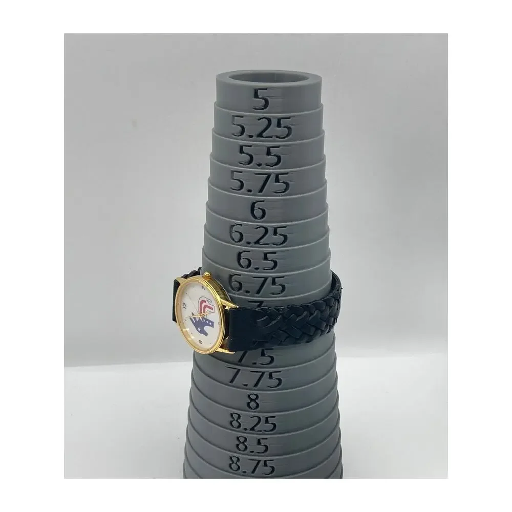 Political Watch wearable appeal